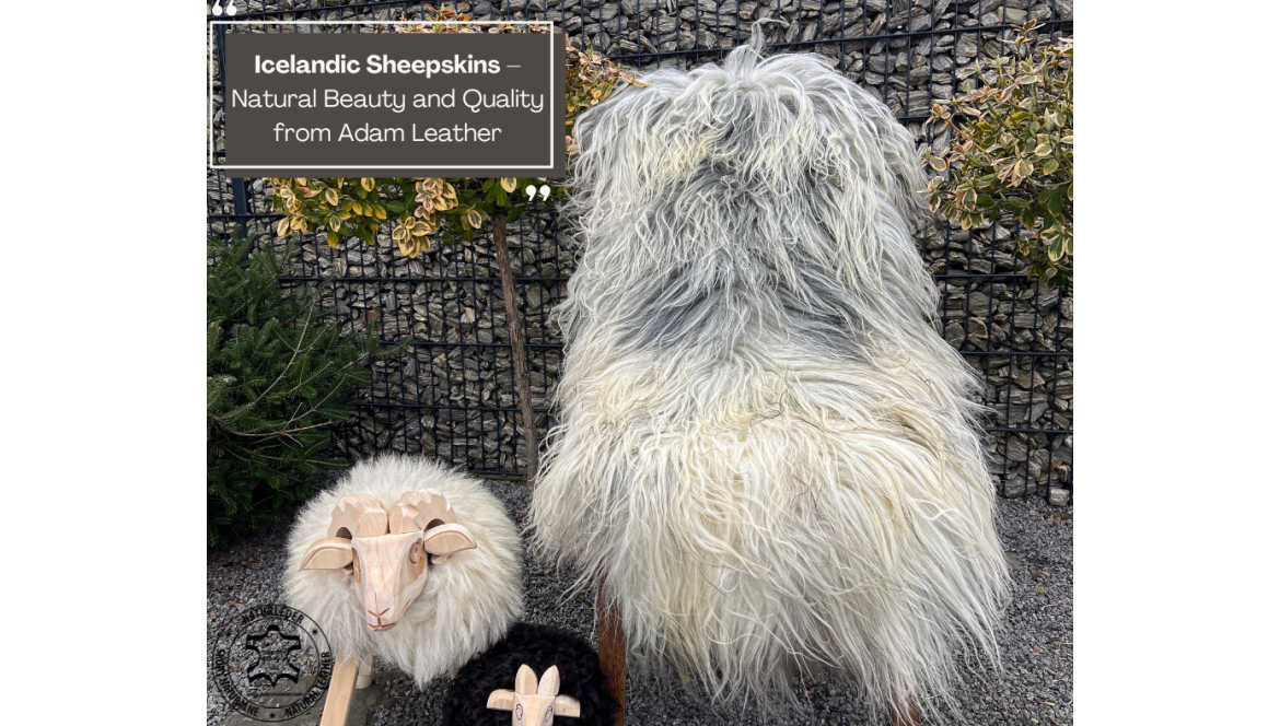 Peaux de mouton islandaises – Beauté naturelle et qualité chez Adam Leather